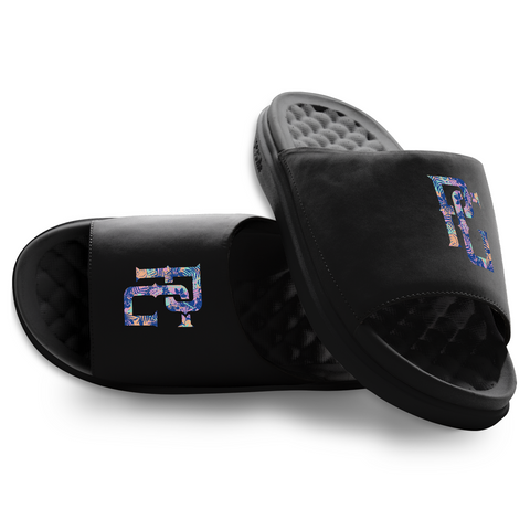 PG MOTIVE SLIDES - PALM
