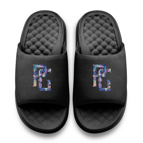PG MOTIVE SLIDES - PALM