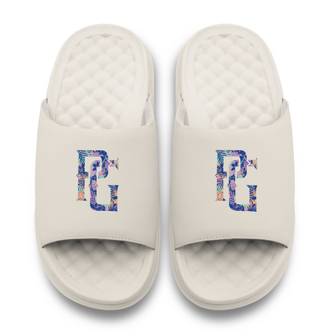 PG MOTIVE SLIDES - PALM