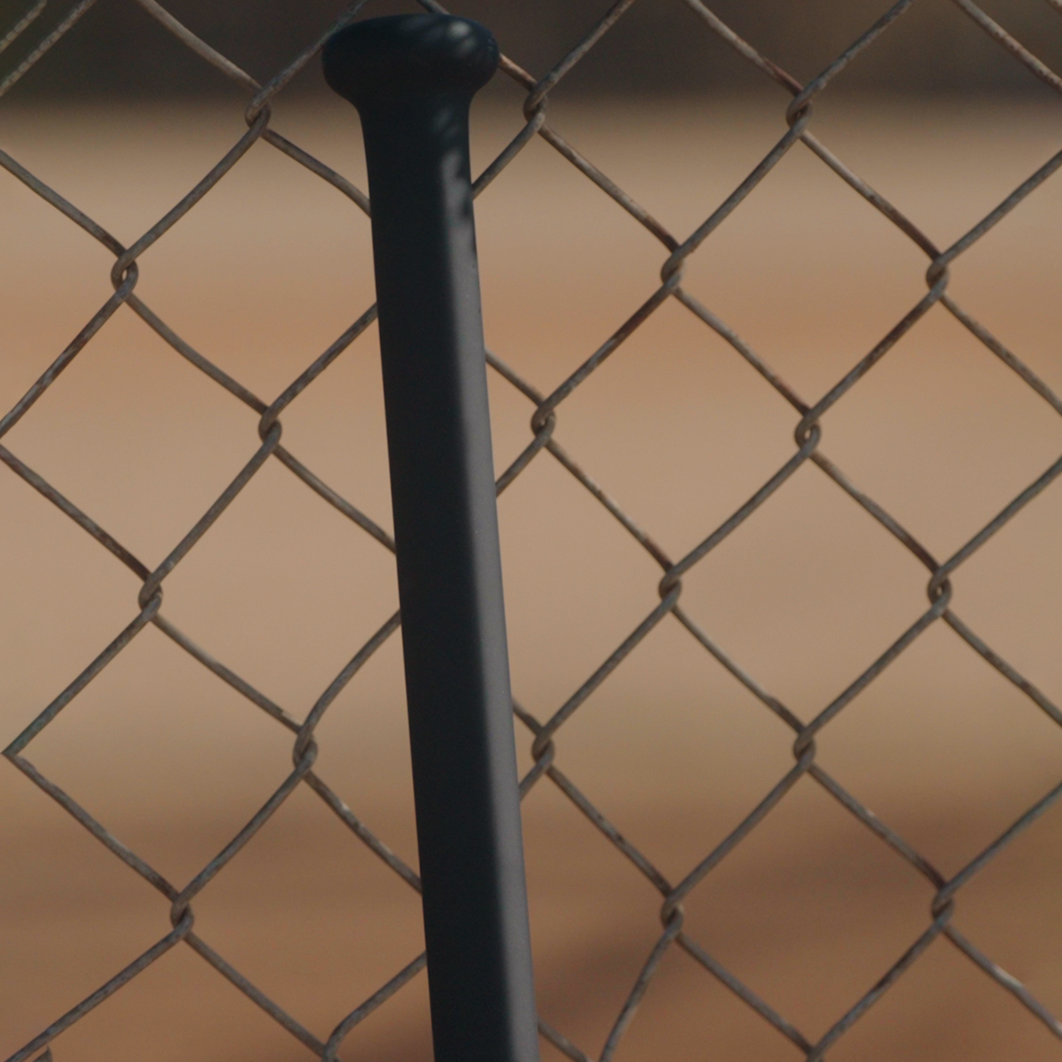 The Racket Fungo